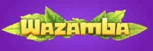 Blazer jogo
